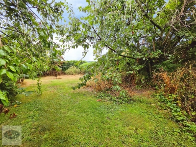 Picture 33